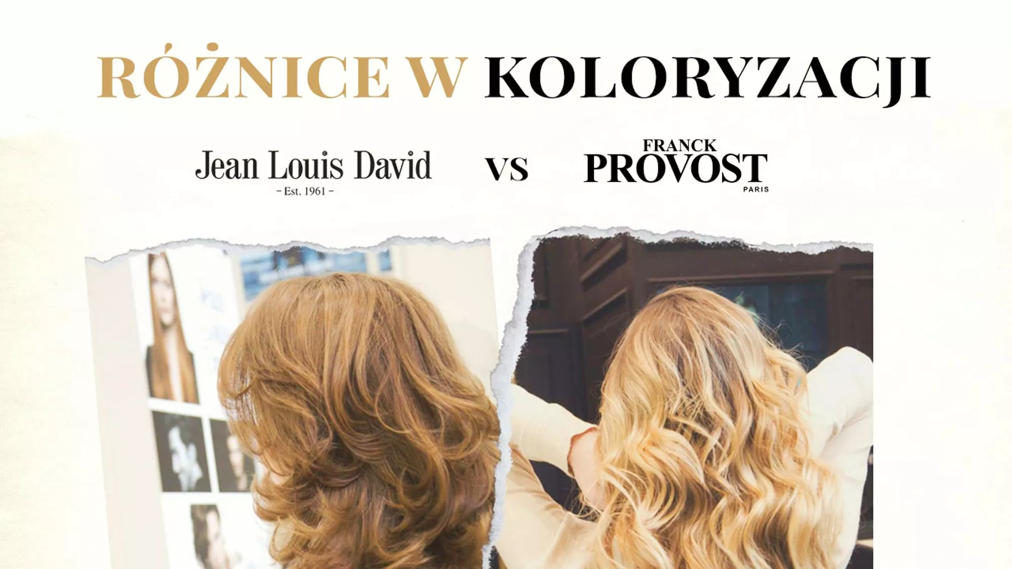 Image of Różnice w koloryzacji - Jean Louis David VS Franck Provost